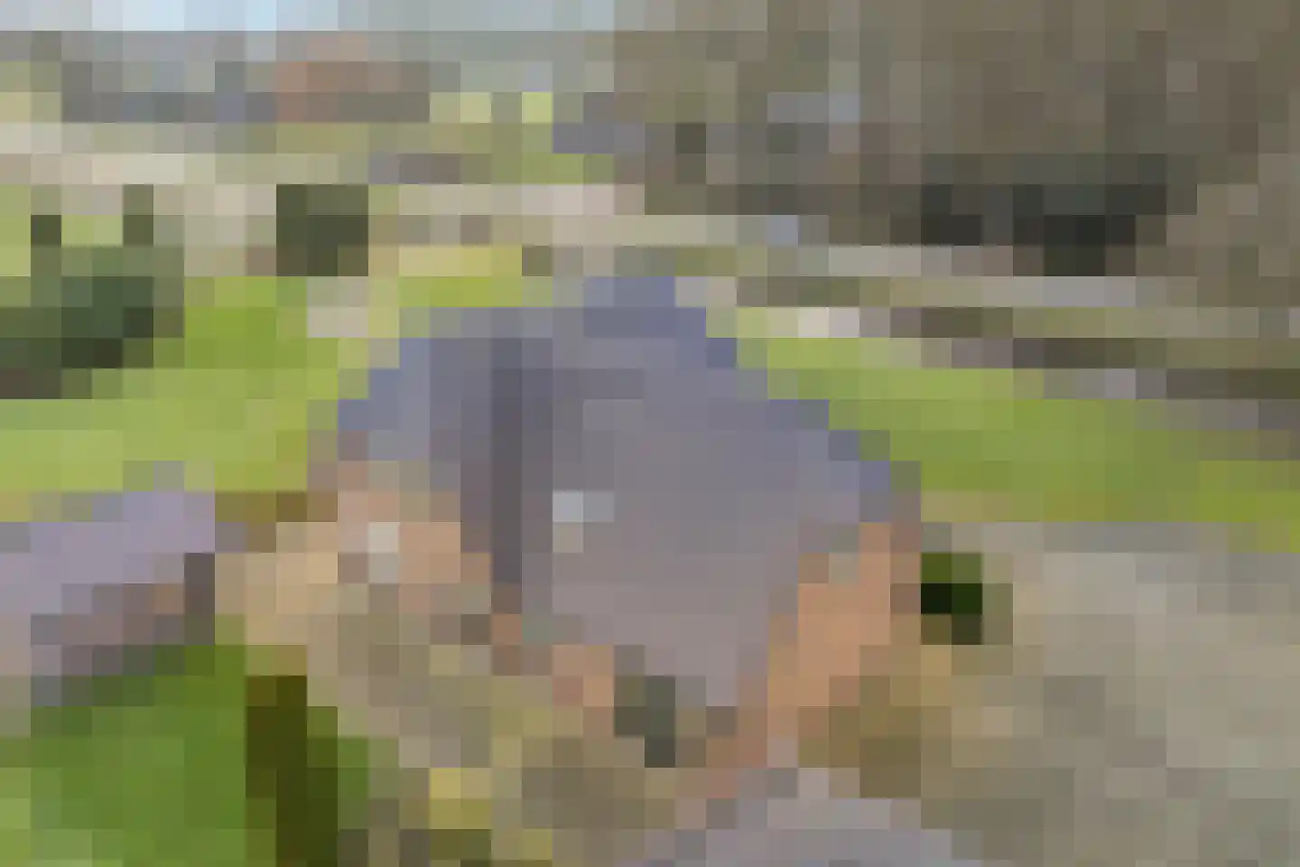 Marten Kuilerweg 6 Elim thumbnail 74