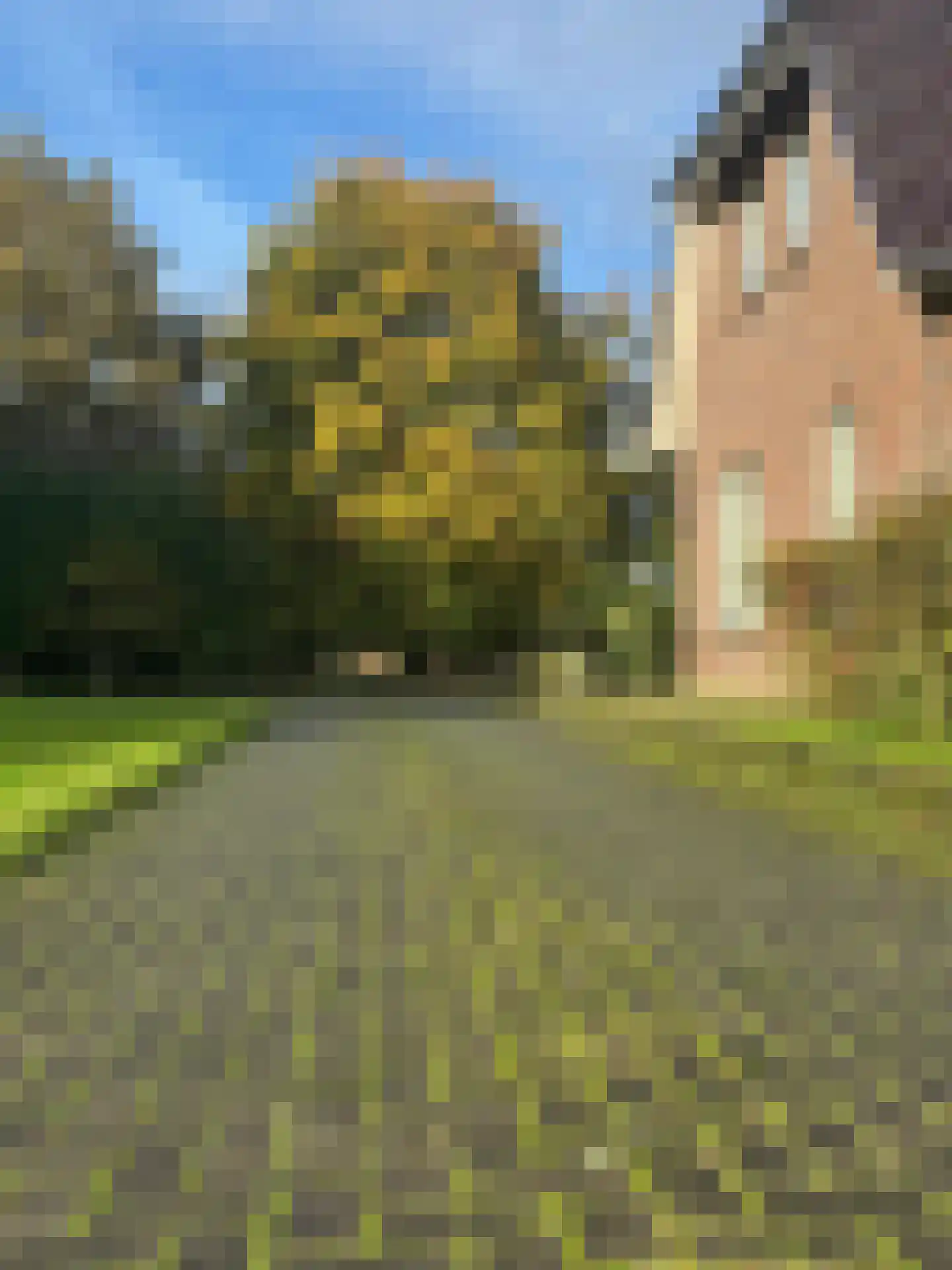 Marten Kuilerweg 6 Elim thumbnail 90