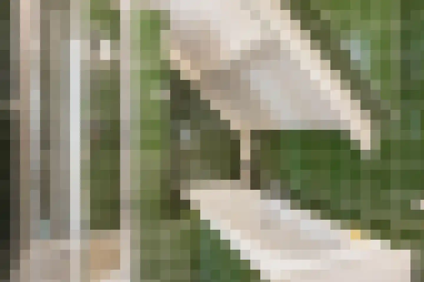 Marten Meesstraat 19 Hengelo thumbnail 36