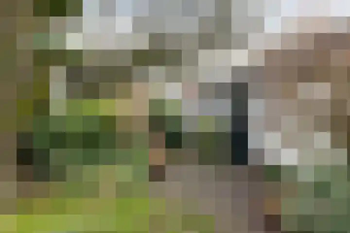 Marten Meesstraat 7 Hengelo thumbnail 30