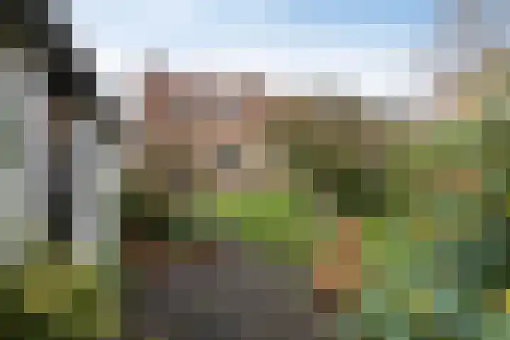 Marten Meesstraat 7 Hengelo thumbnail 31