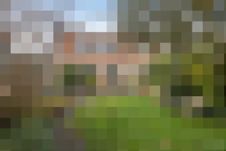 Marten Meesstraat 7 Hengelo thumbnail 32