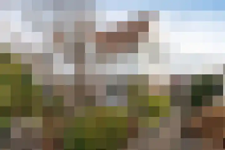 Marten Meesstraat 7 Hengelo thumbnail 37