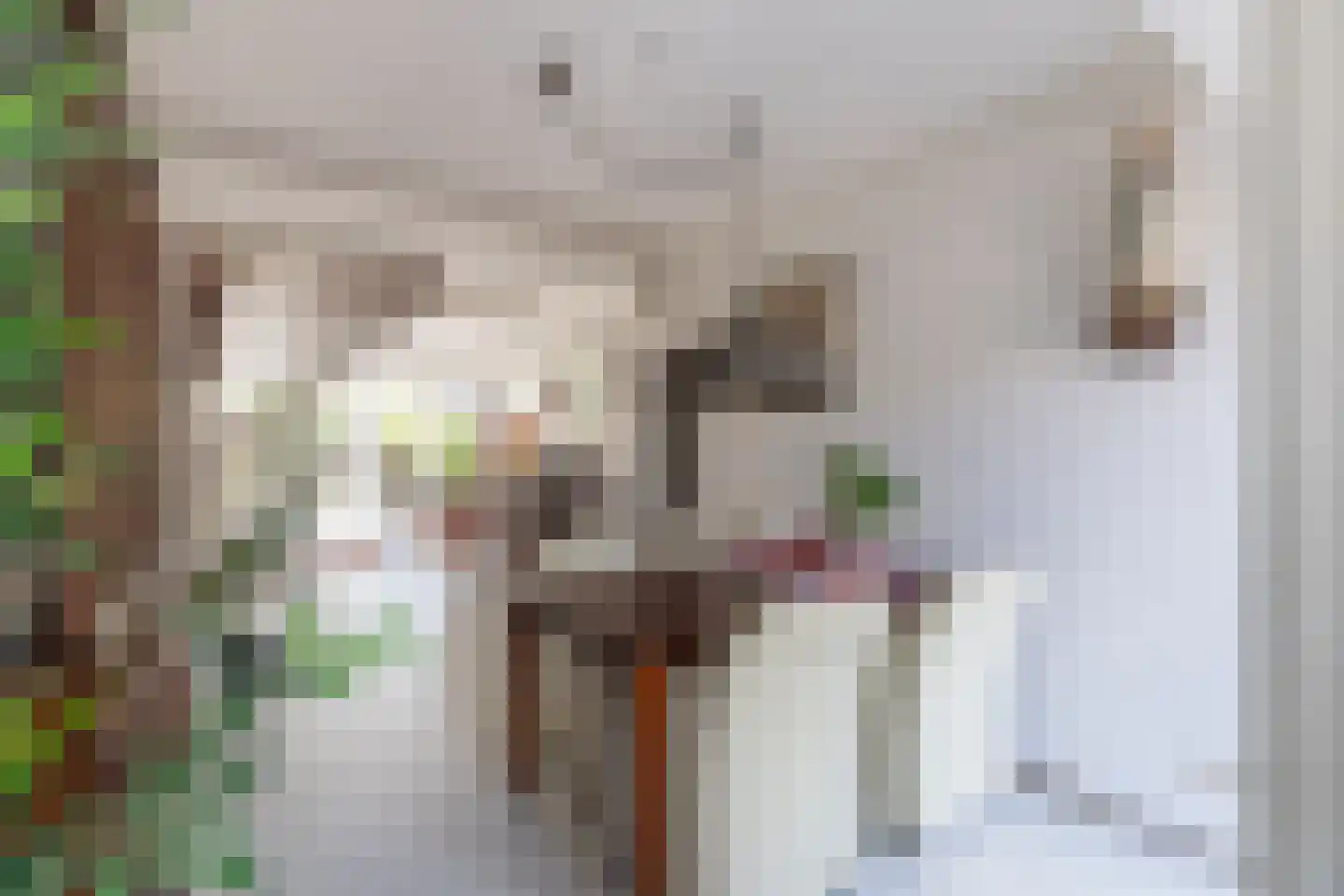 Marten Michielshof 17 De Rijp thumbnail 10
