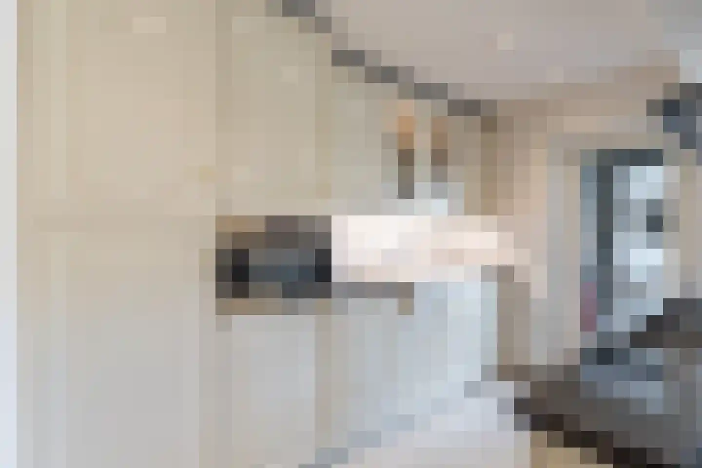 Marten Michielshof 17 De Rijp thumbnail 12