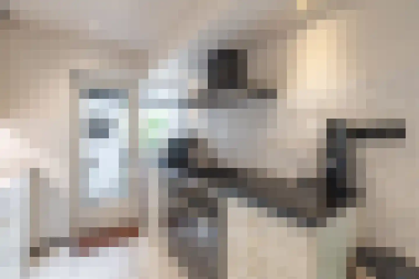 Marten Michielshof 17 De Rijp thumbnail 13