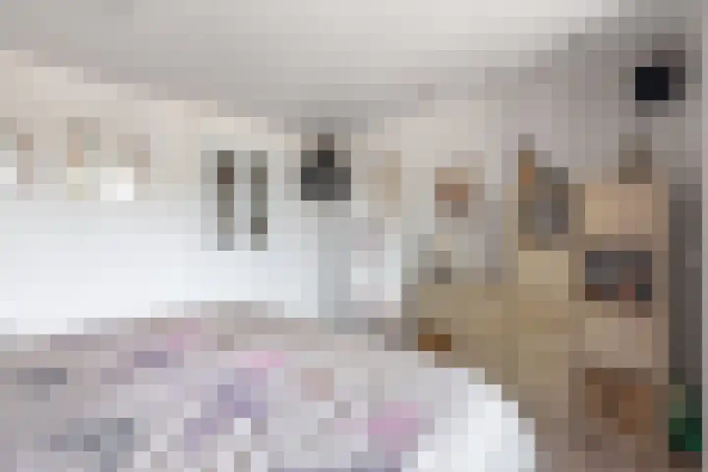 Marten Michielshof 17 De Rijp thumbnail 18
