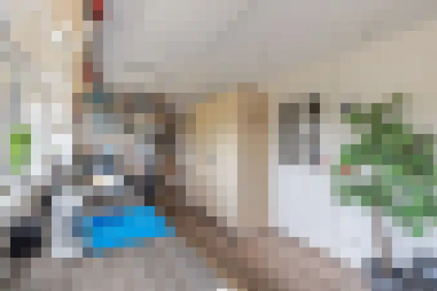 Marten Michielshof 17 De Rijp thumbnail 22