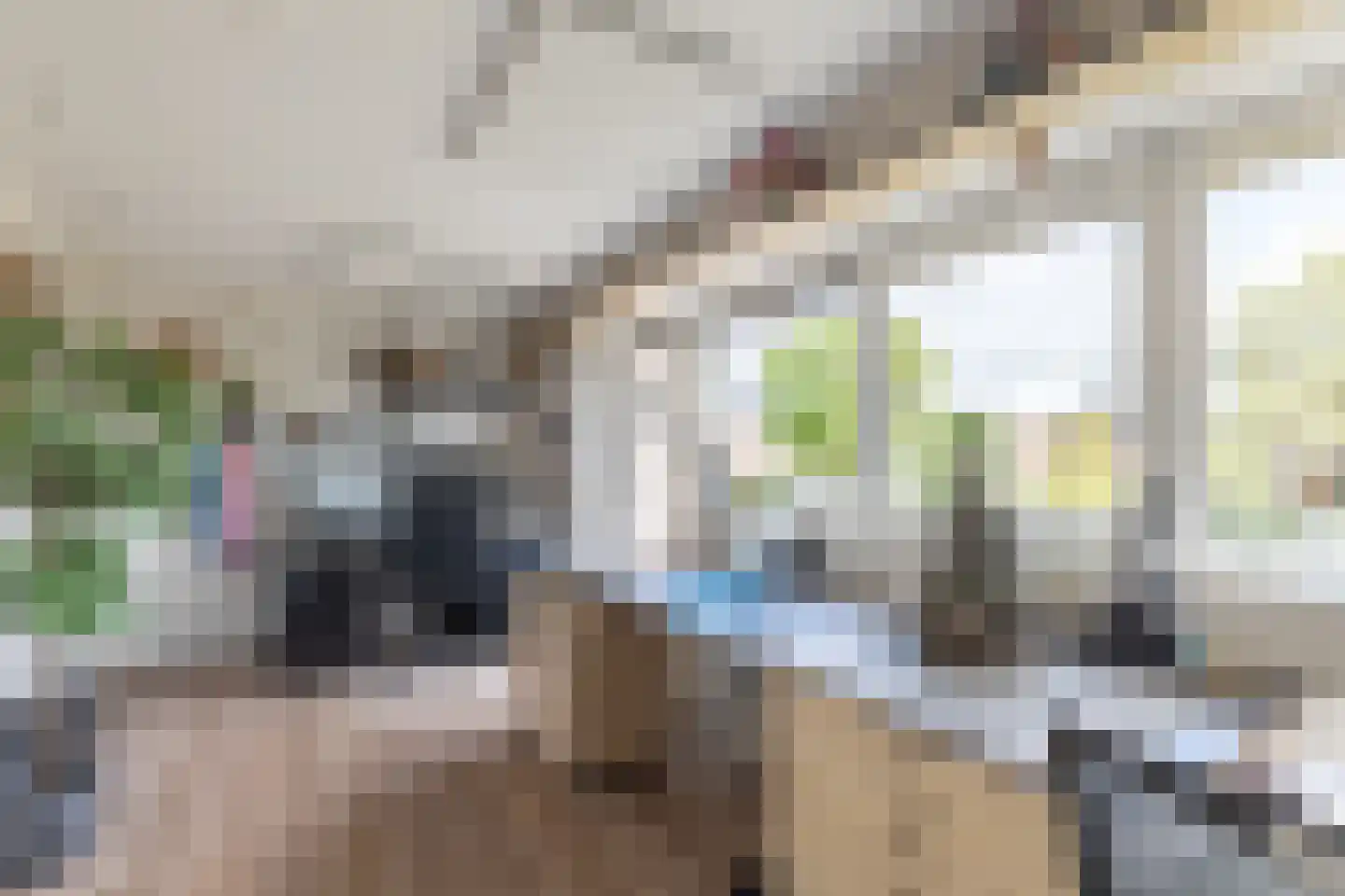 Marten Michielshof 17 De Rijp thumbnail 23