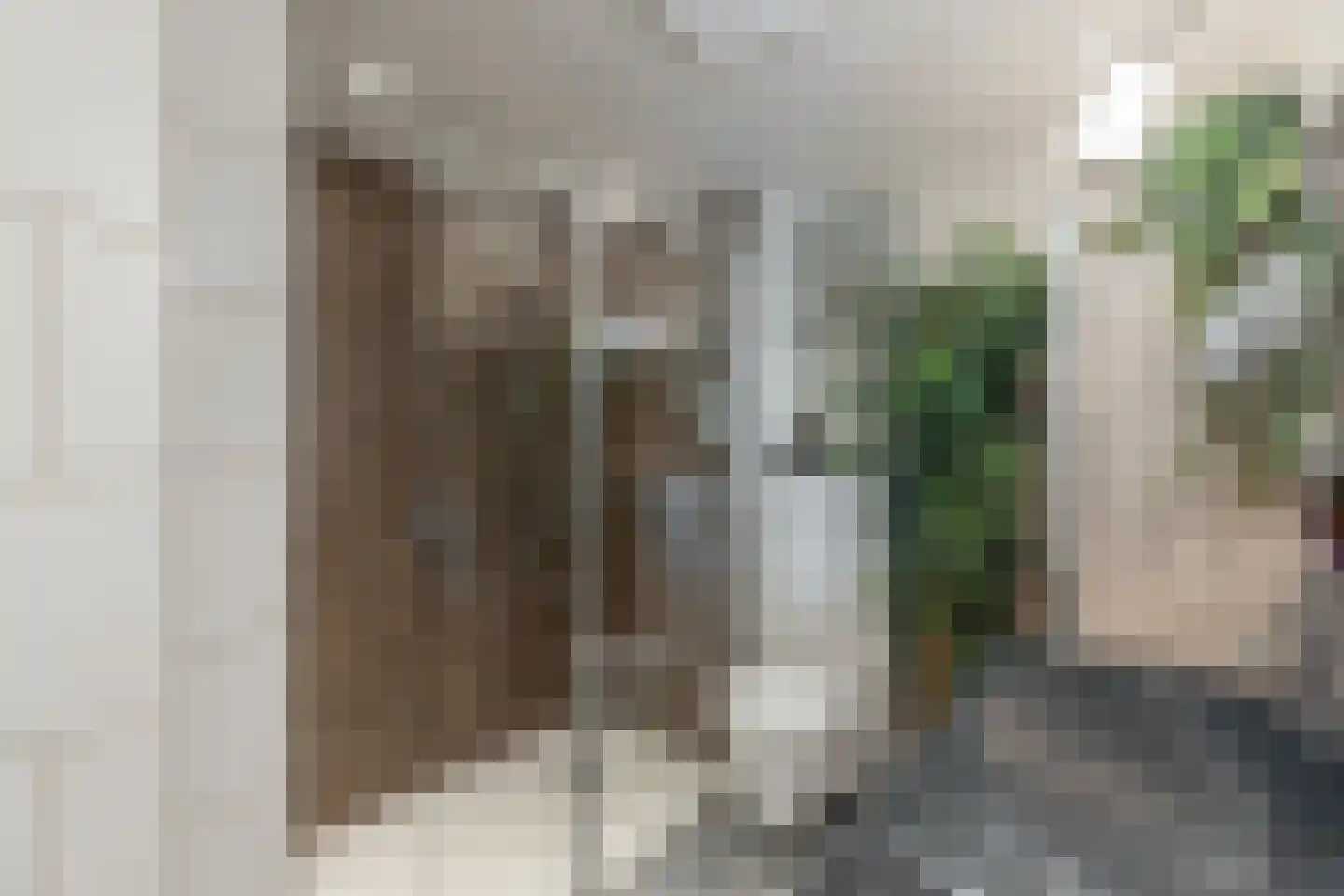 Marten Michielshof 17 De Rijp thumbnail 24