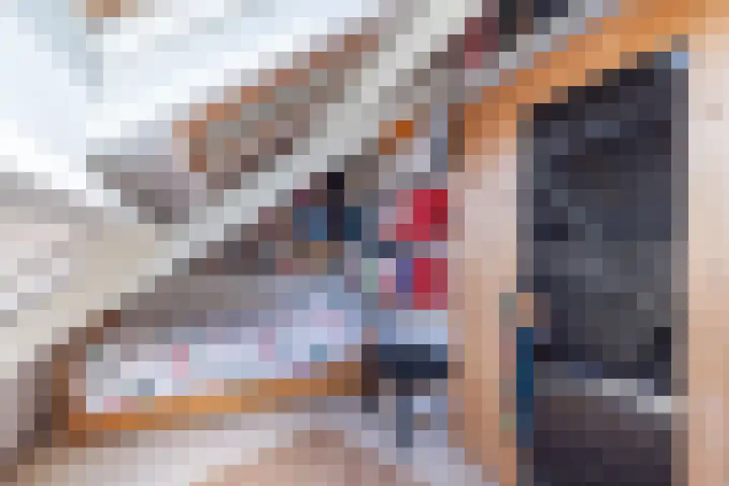 Marten Michielshof 17 De Rijp thumbnail 32