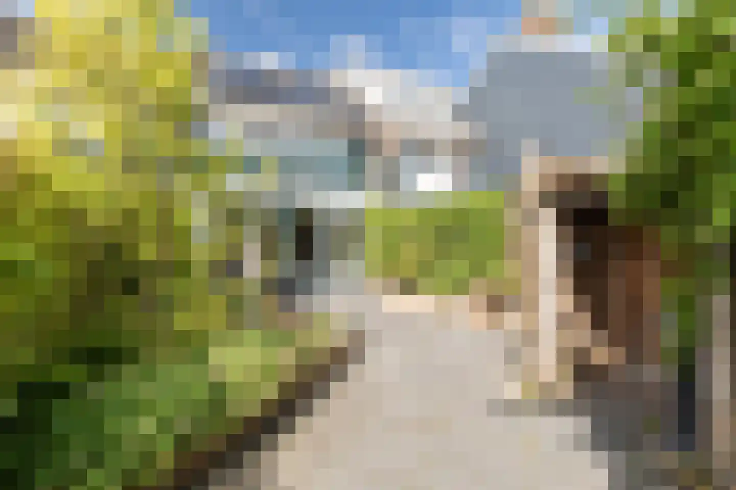 Marten Michielshof 17 De Rijp thumbnail 35