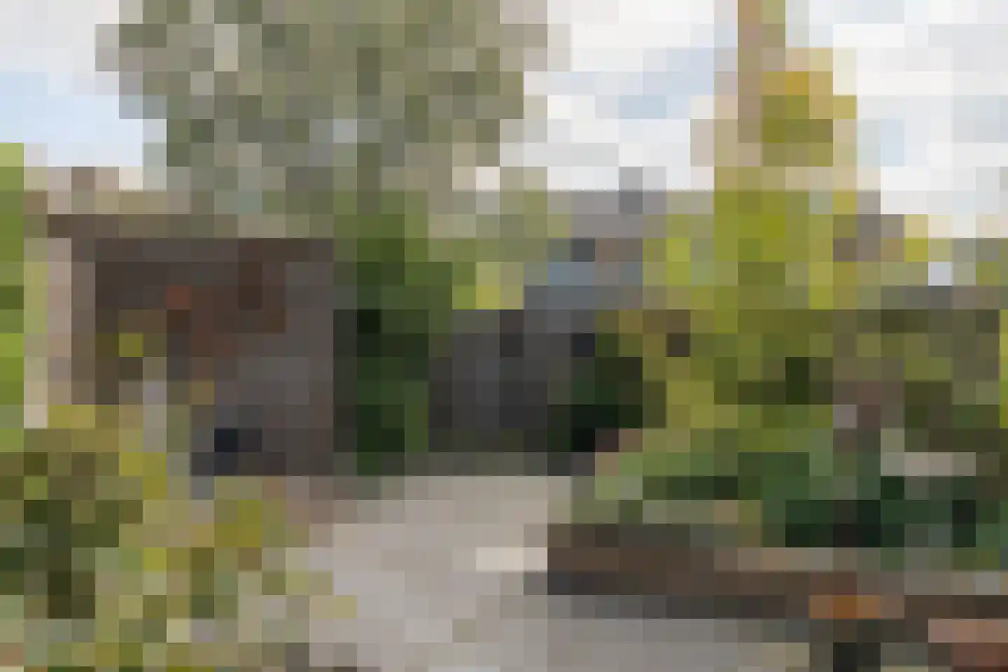 Marten Michielshof 17 De Rijp thumbnail 36
