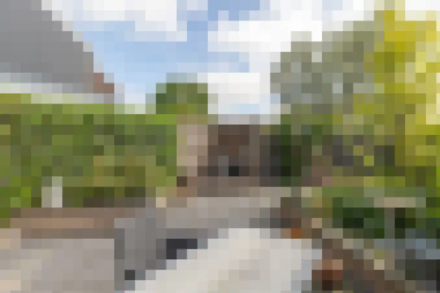Marten Michielshof 17 De Rijp thumbnail 37