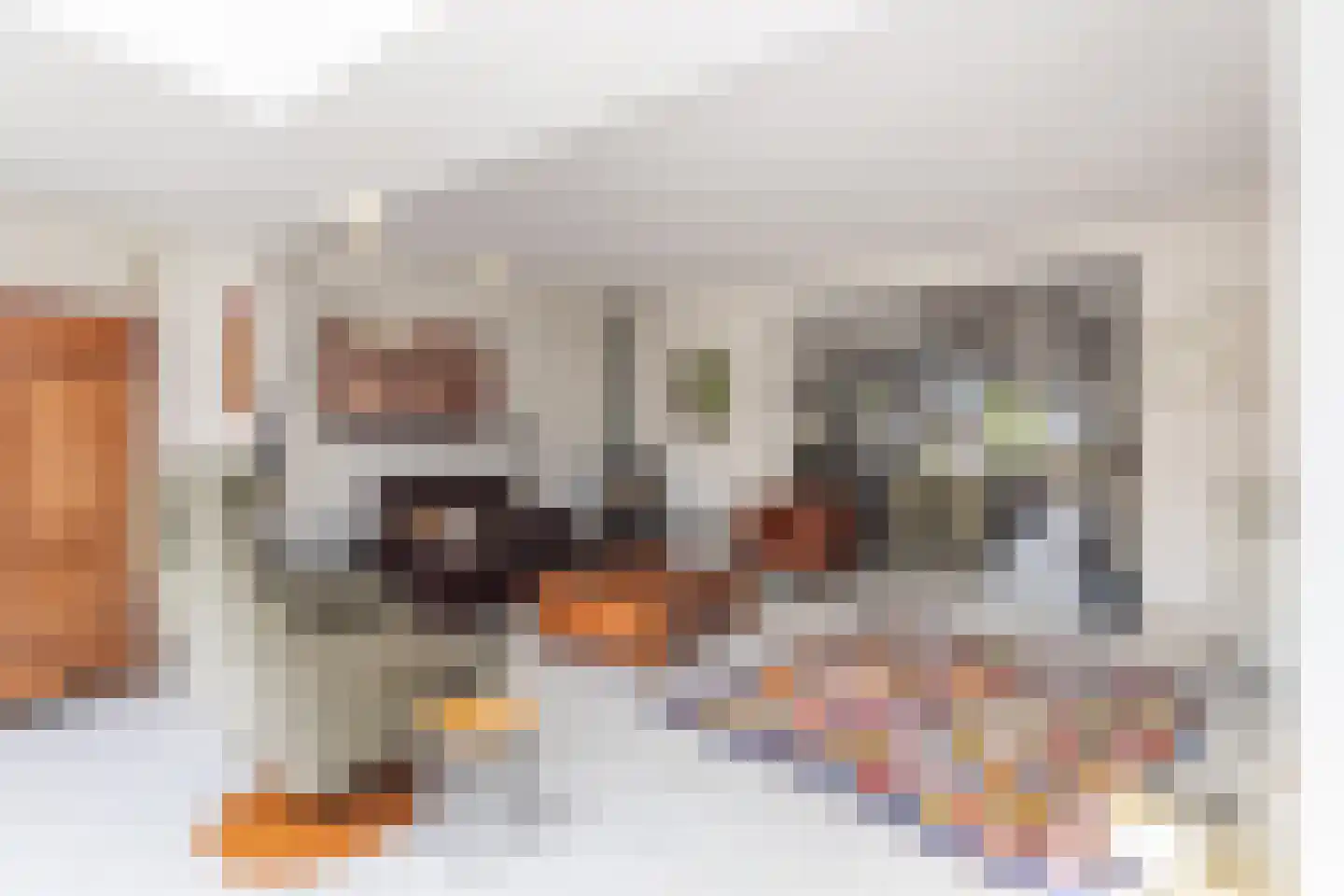 Marten Michielshof 17 De Rijp thumbnail 5