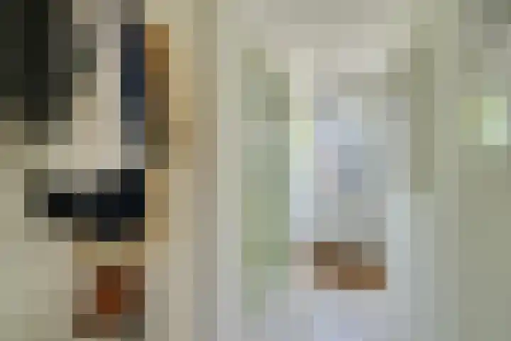 Marten Michielshof 22 De Rijp thumbnail 10