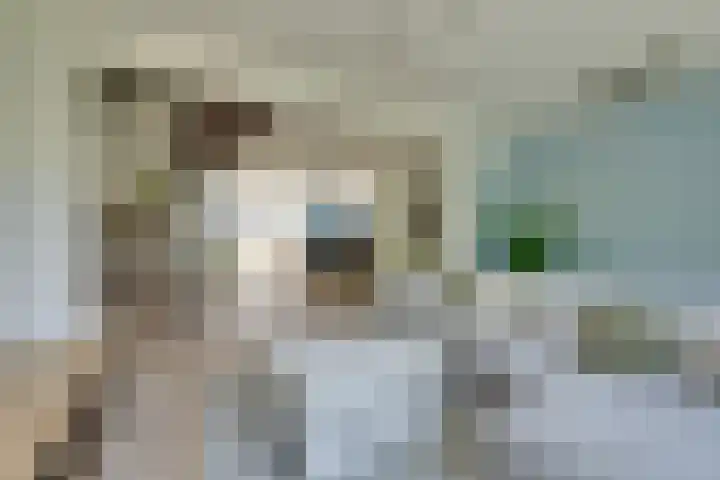 Marten Michielshof 22 De Rijp thumbnail 15