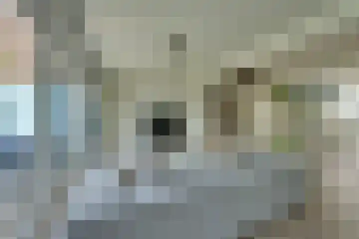 Marten Michielshof 22 De Rijp thumbnail 16