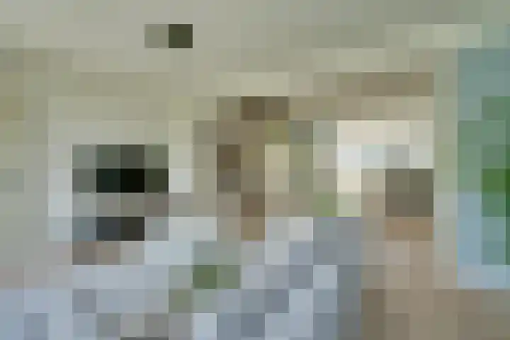 Marten Michielshof 22 De Rijp thumbnail 17