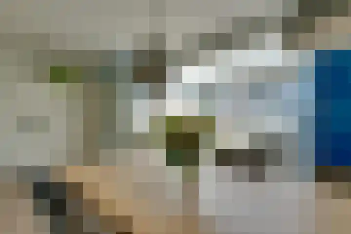 Marten Michielshof 22 De Rijp thumbnail 20