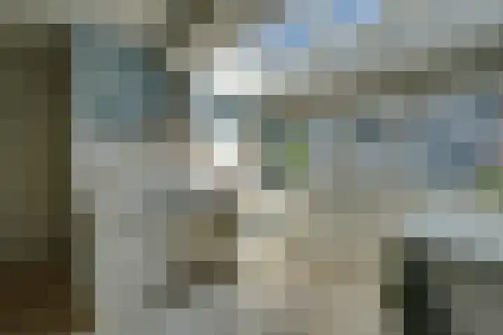 Marten Michielshof 22 De Rijp thumbnail 22