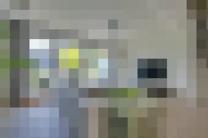 Marten Michielshof 22 De Rijp thumbnail 26