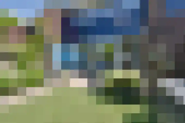 Marten Michielshof 22 De Rijp thumbnail 30