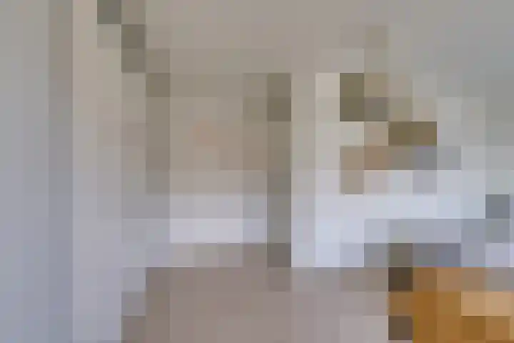Marten Michielshof 22 De Rijp thumbnail 31