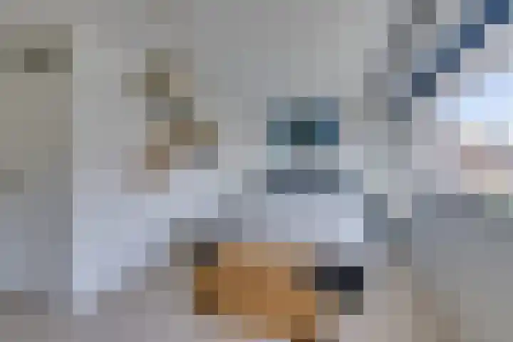 Marten Michielshof 22 De Rijp thumbnail 33