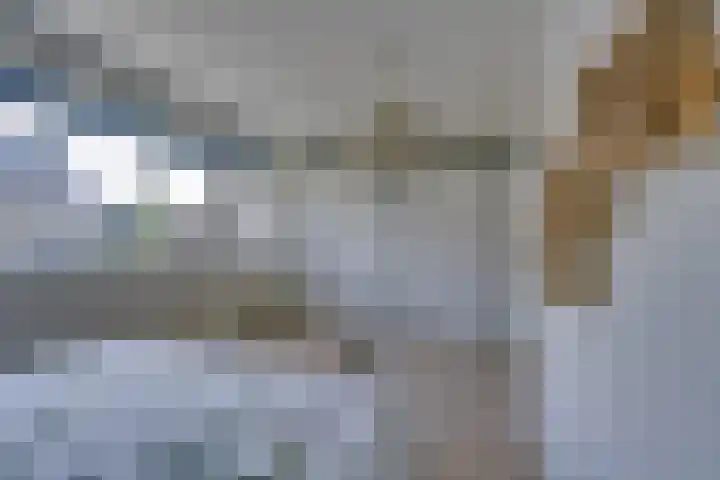 Marten Michielshof 22 De Rijp thumbnail 35