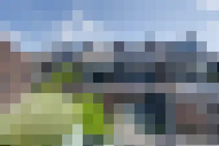 Marten Michielshof 22 De Rijp thumbnail 36