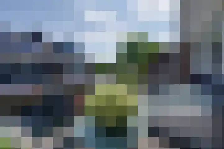 Marten Michielshof 22 De Rijp thumbnail 37