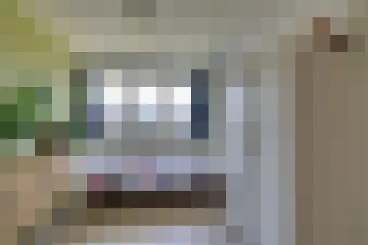 Marten Michielshof 22 De Rijp thumbnail 38