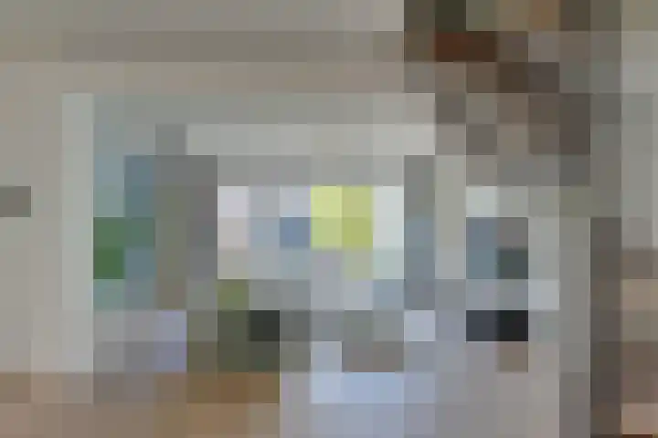 Marten Michielshof 22 De Rijp thumbnail 4