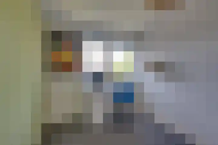 Marten Michielshof 22 De Rijp thumbnail 42