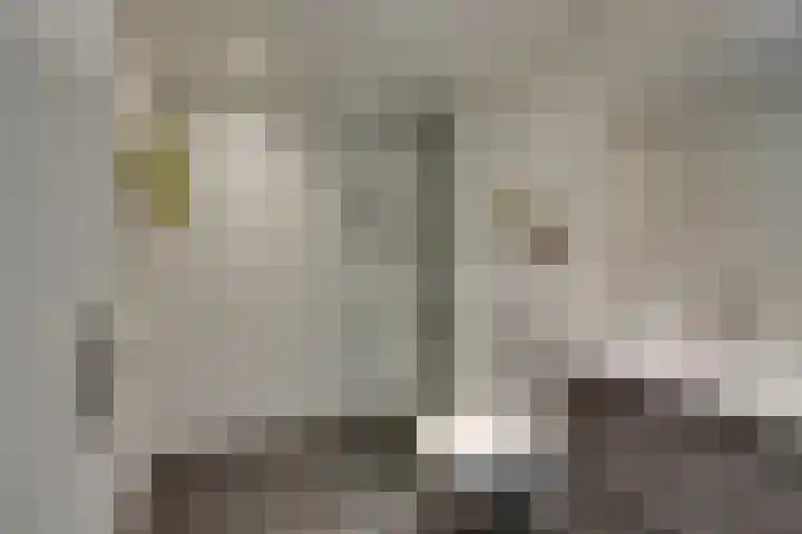 Marten Michielshof 22 De Rijp thumbnail 44