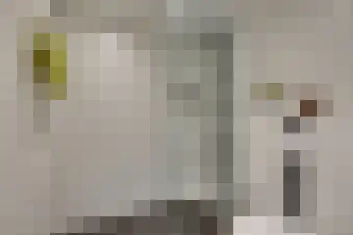 Marten Michielshof 22 De Rijp thumbnail 45