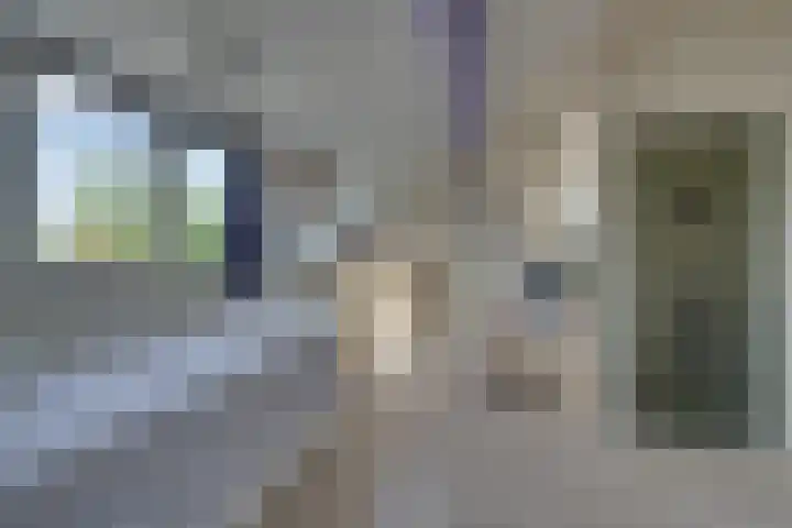 Marten Michielshof 22 De Rijp thumbnail 49
