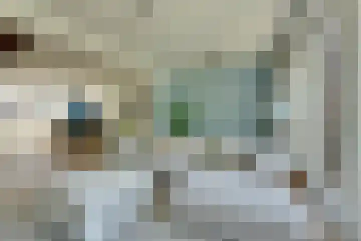 Marten Michielshof 22 De Rijp thumbnail 5