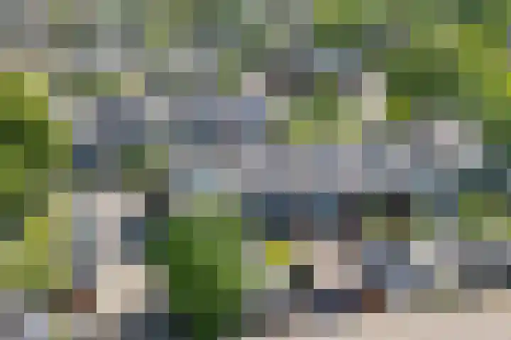 Marten Michielshof 22 De Rijp thumbnail 6