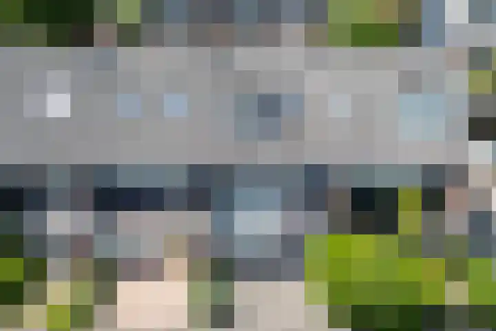 Marten Michielshof 22 De Rijp thumbnail 7