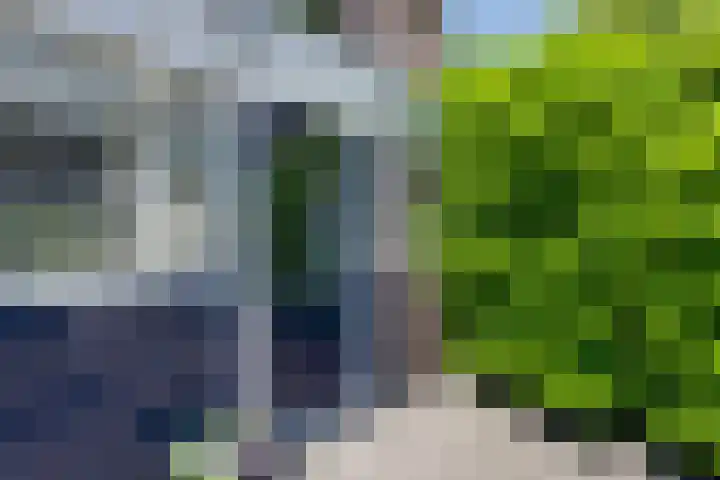 Marten Michielshof 22 De Rijp thumbnail 9