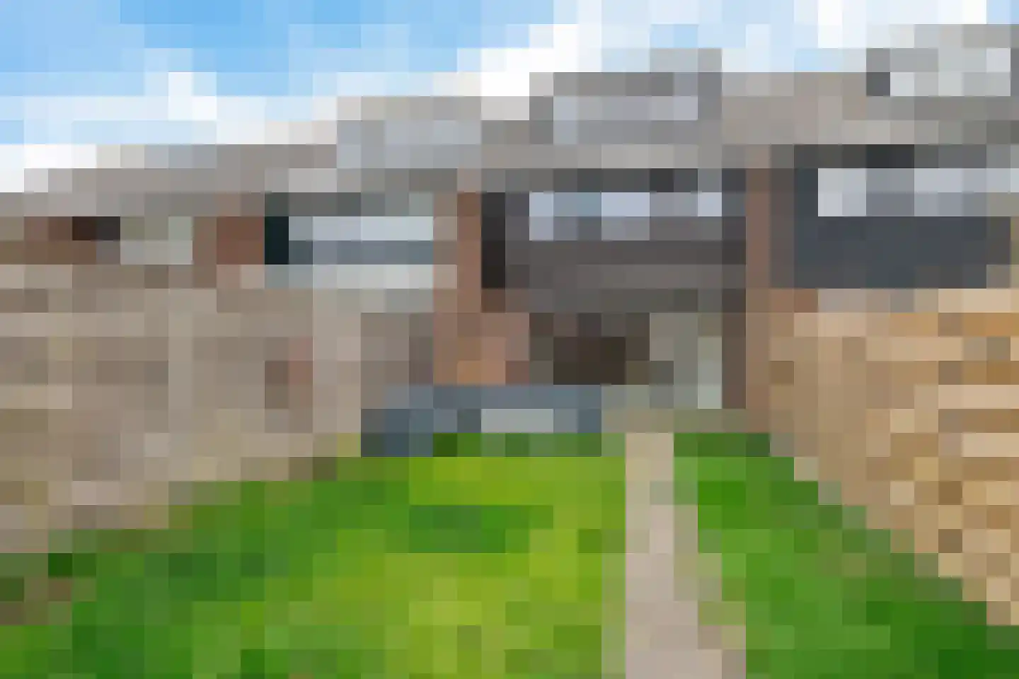 Marten Michielshof 27 De Rijp thumbnail 39