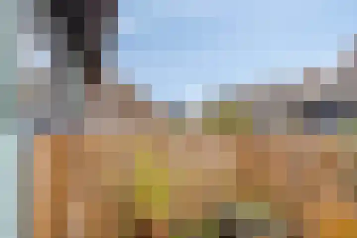 Marten Michielshof 40 De Rijp thumbnail 15