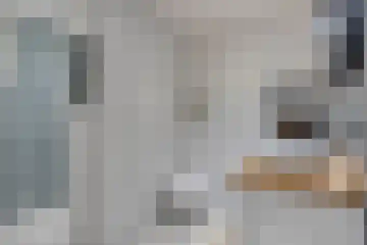 Marten Michielshof 40 De Rijp thumbnail 16