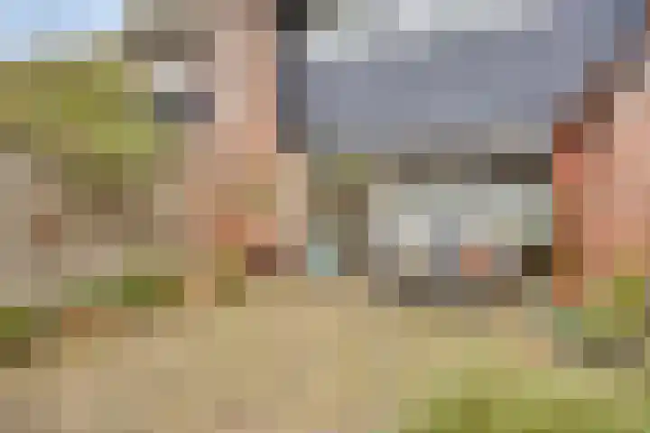Marten Michielshof 40 De Rijp thumbnail 27