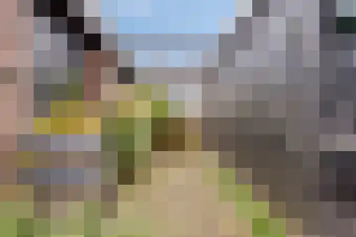 Marten Michielshof 40 De Rijp thumbnail 29