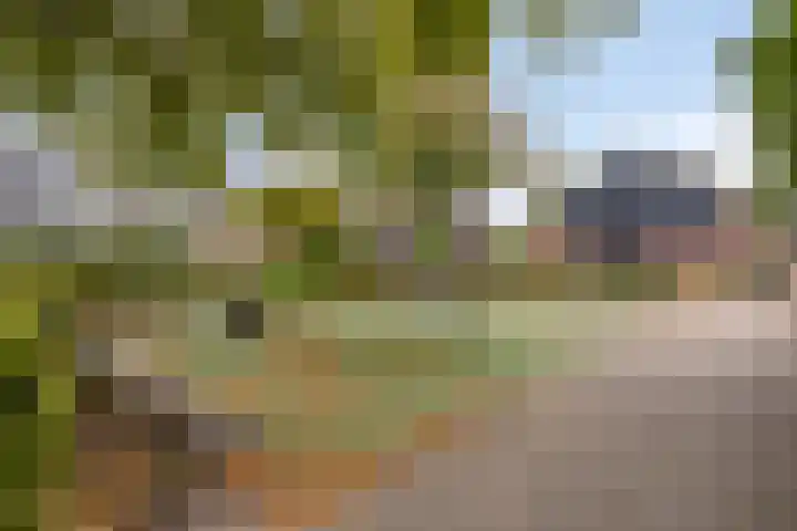 Marten Michielshof 40 De Rijp thumbnail 31