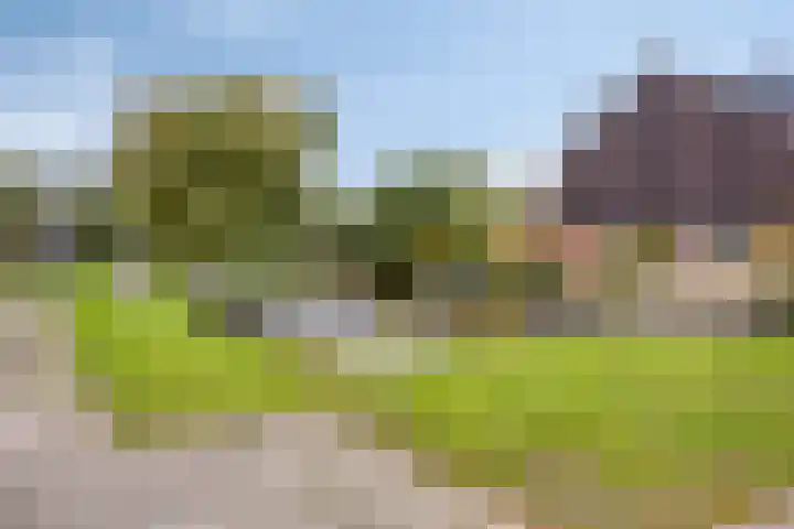 Marten Michielshof 40 De Rijp thumbnail 32