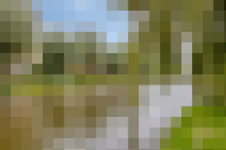 Marten Michielshof 40 De Rijp thumbnail 33